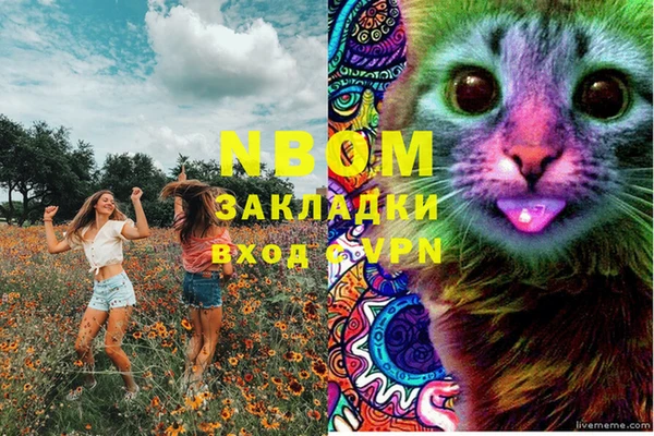 соль курить ск Белокуриха
