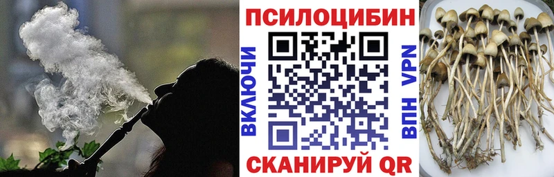 Галлюциногенные грибы Magic Shrooms  продажа наркотиков  Высоковск 